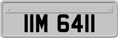 IIM6411