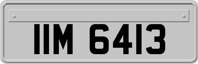 IIM6413