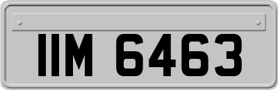 IIM6463