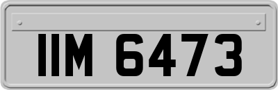 IIM6473
