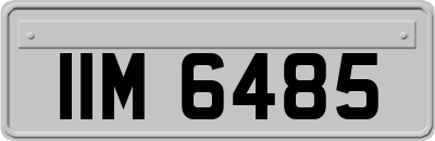 IIM6485