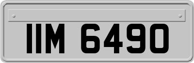 IIM6490