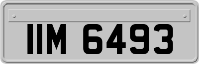 IIM6493
