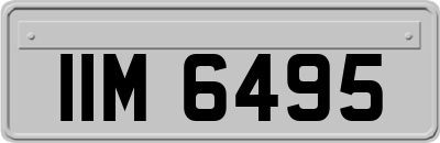 IIM6495