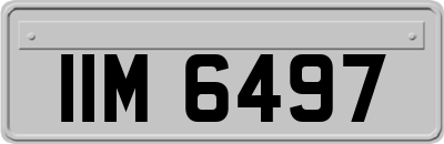 IIM6497