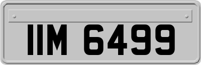 IIM6499