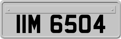 IIM6504