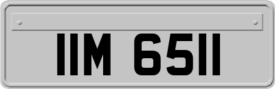 IIM6511