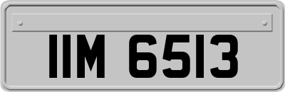 IIM6513