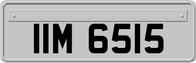 IIM6515
