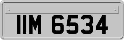 IIM6534