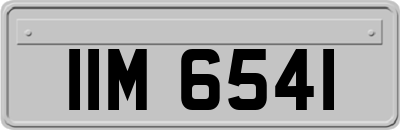 IIM6541