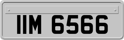 IIM6566