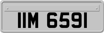 IIM6591