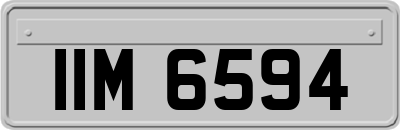 IIM6594