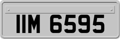 IIM6595