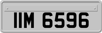 IIM6596