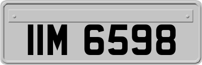 IIM6598
