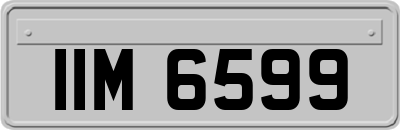 IIM6599