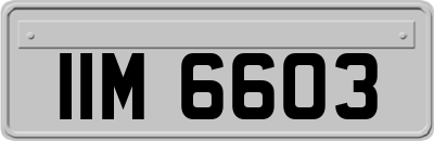 IIM6603