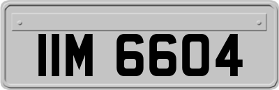 IIM6604
