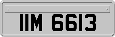 IIM6613