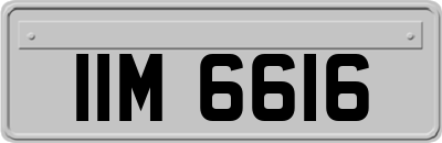 IIM6616