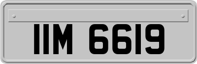 IIM6619