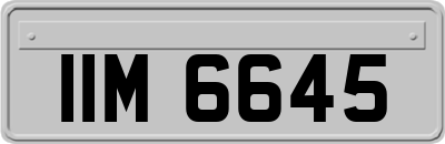 IIM6645
