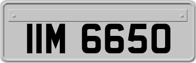 IIM6650
