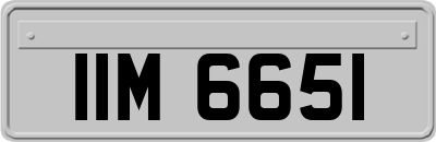 IIM6651
