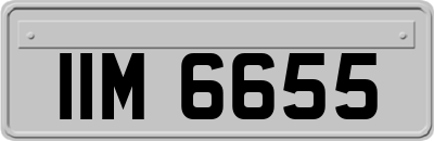 IIM6655