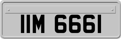 IIM6661