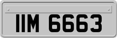 IIM6663