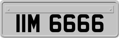 IIM6666