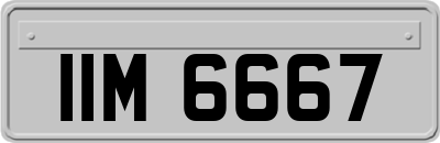 IIM6667