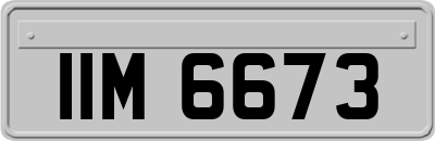 IIM6673