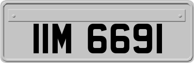IIM6691