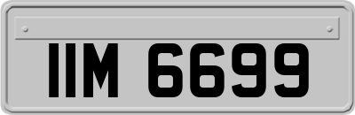 IIM6699
