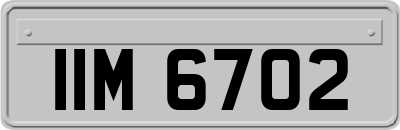 IIM6702