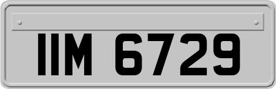 IIM6729