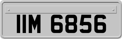 IIM6856