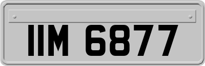 IIM6877