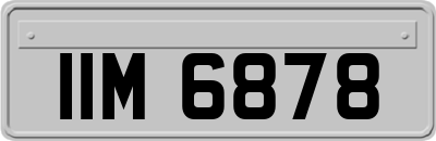 IIM6878