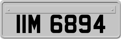 IIM6894