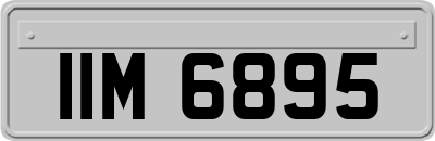 IIM6895