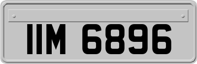 IIM6896