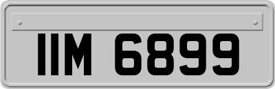 IIM6899
