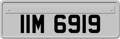 IIM6919