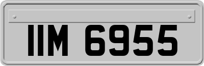 IIM6955